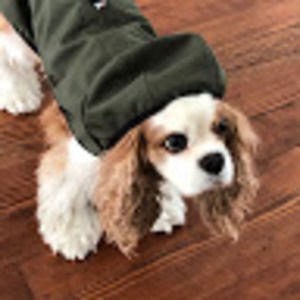 Meet your Posher, Lilah